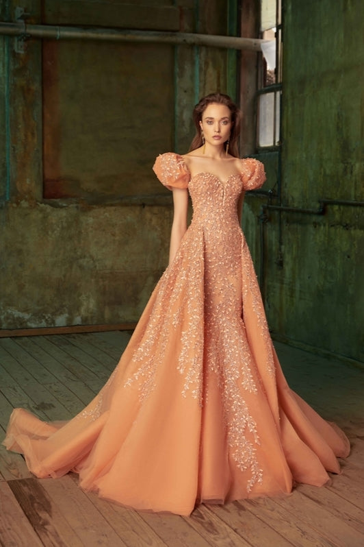 Overskirt Gown