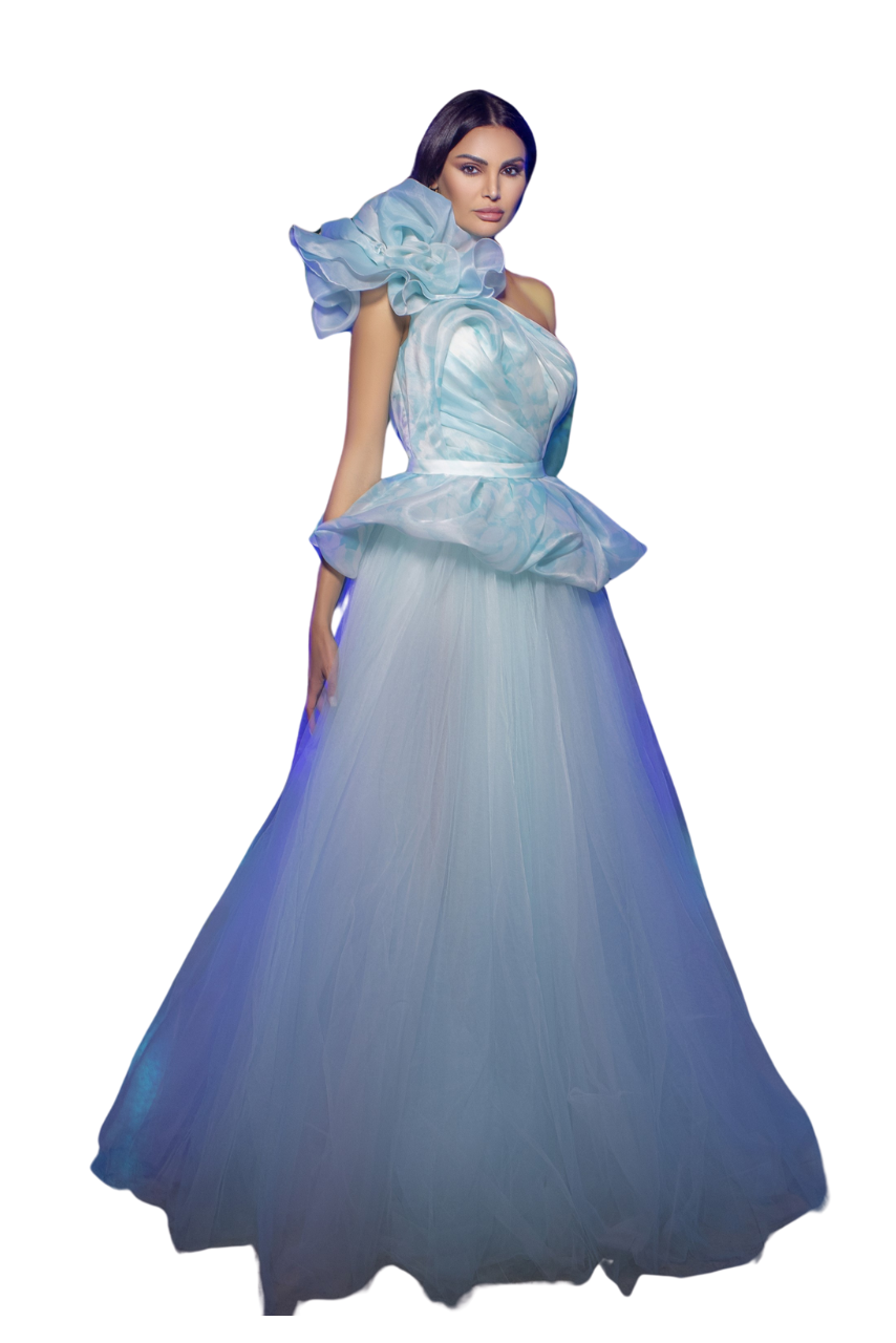 One-Shoulder Organza & Tulle Gown