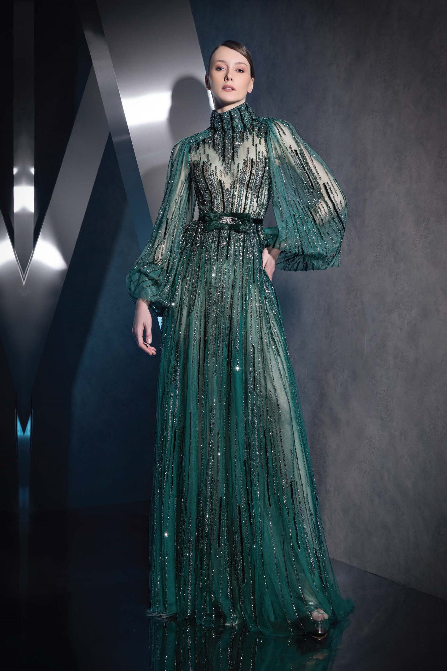Long Sleeved Semi-Sheer Gown