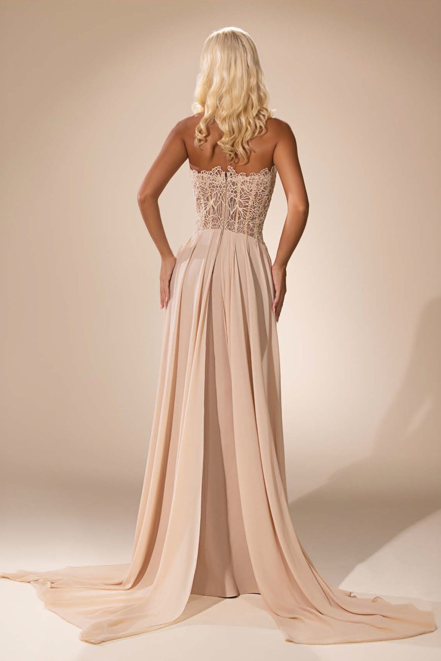 Embroidered Corset Gown