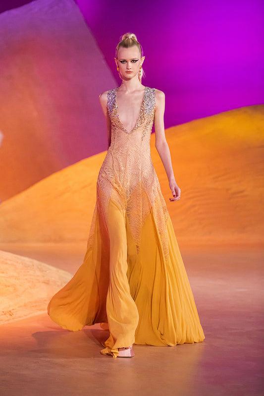 Lace and Georgette Gown
