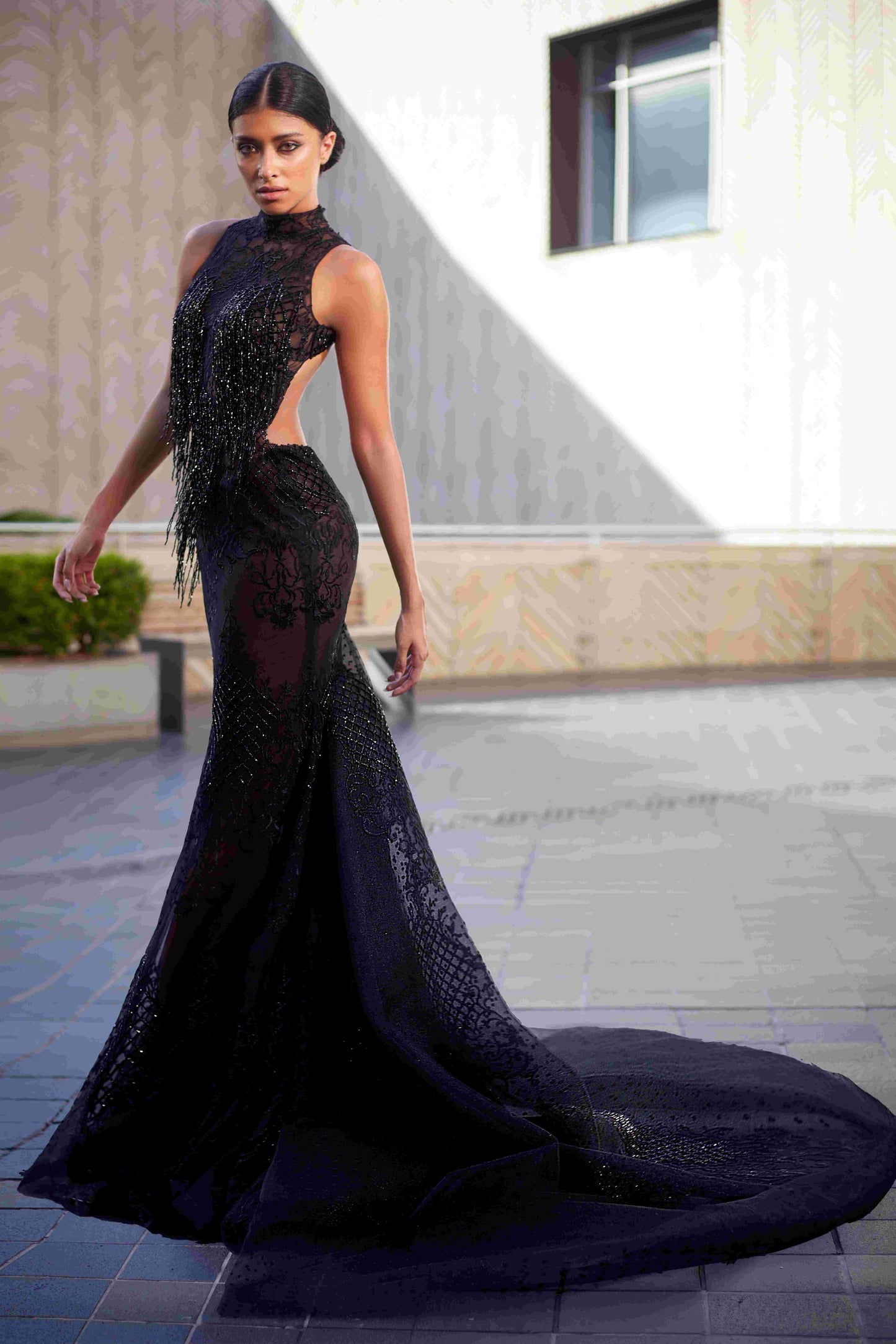 Lace Embroidered Tulle Point Gown