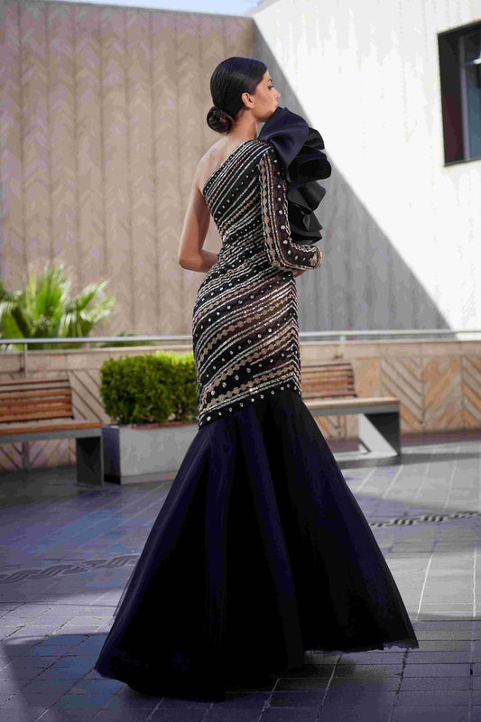 Lace Embroidery & Organza Gown