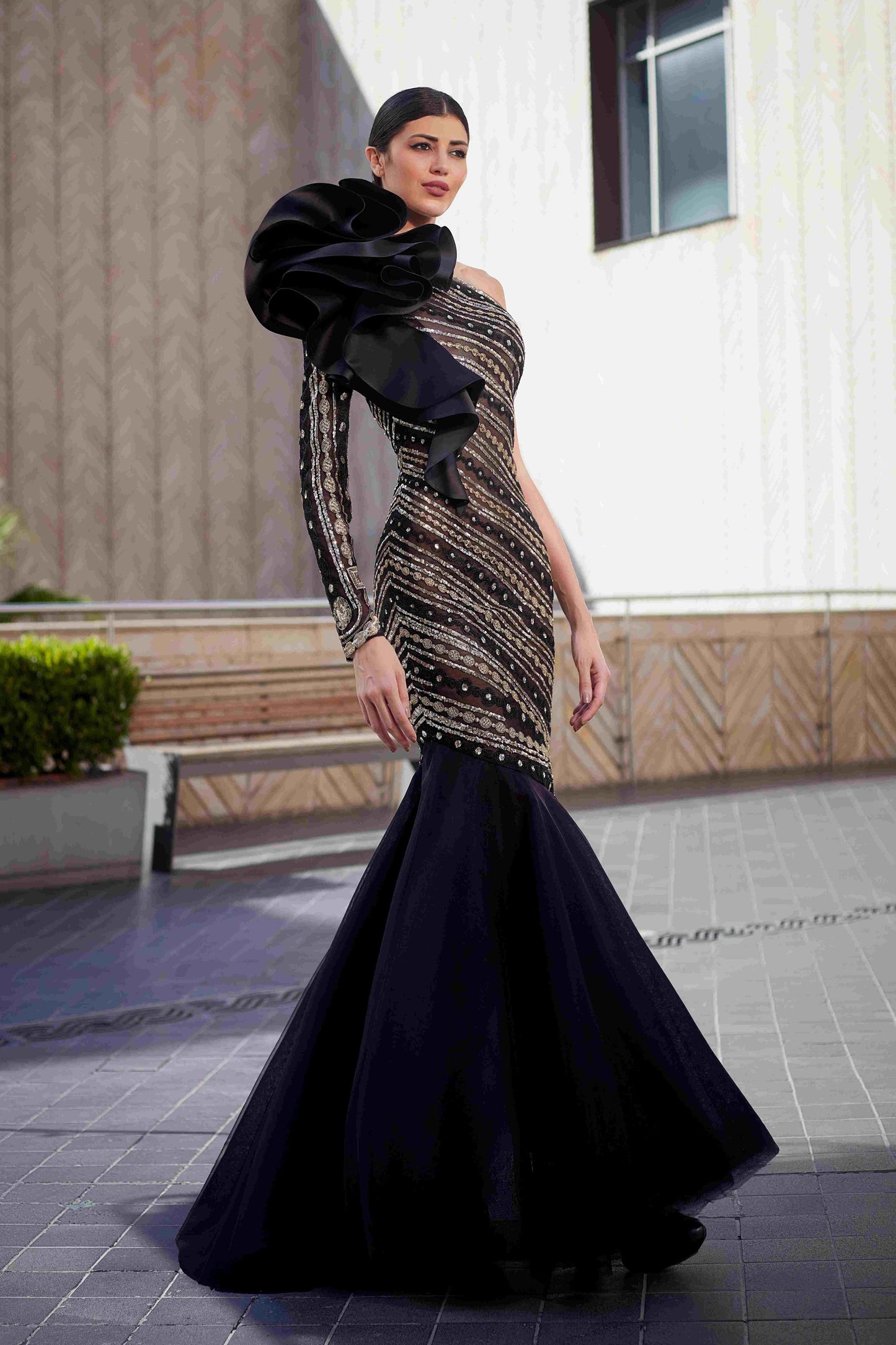 Lace Embroidery & Organza Gown