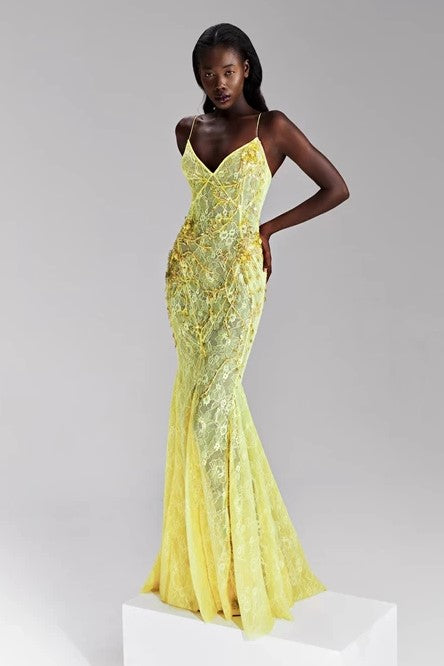 Embellished Lace Dress