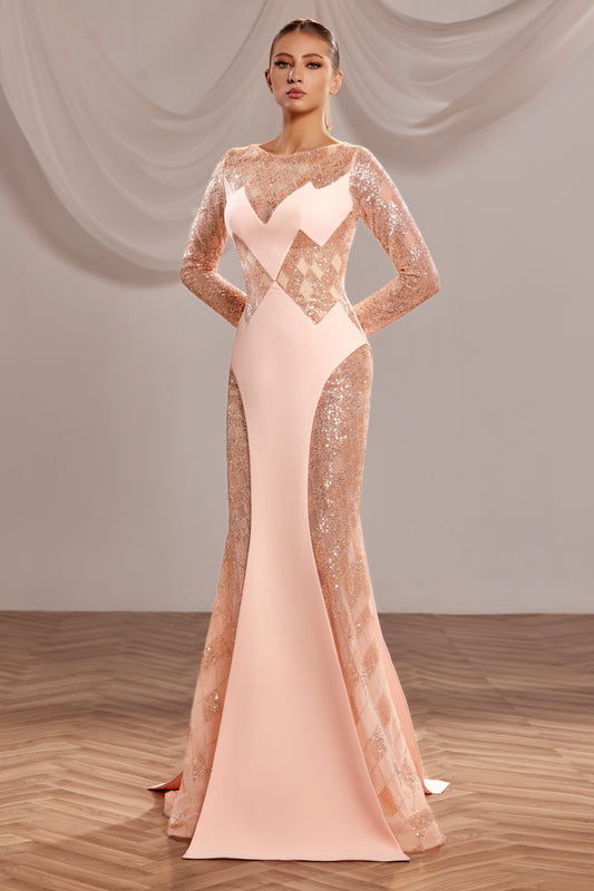 Long Sleeve Beaded Gown