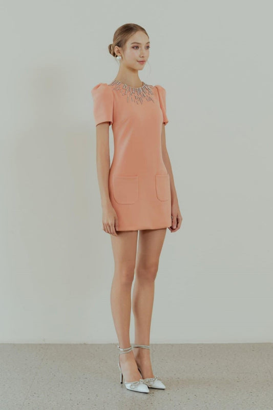 Short Sleeved Mini Dress