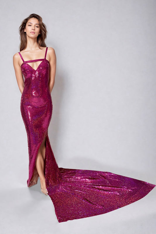 Sleeveless Evening Dress with Sweep