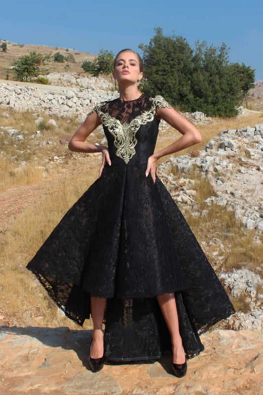 Embroidered Lace  Gown