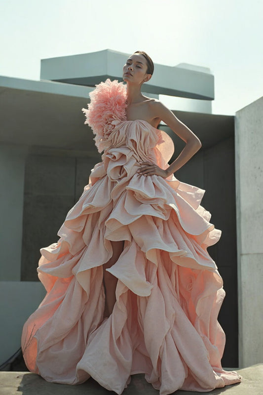 Feathered Sleeve A-Line Gown