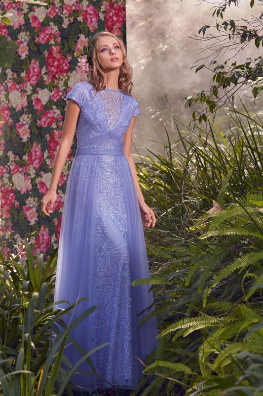 Cap Sleeve Lace Tulle Gown