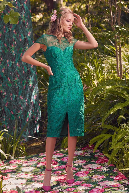 Cap Sleeve Jacquard Dress