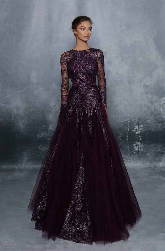 Sheer Long Sleeve Glitter Tulle Ball  Gown