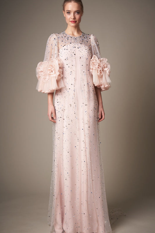Anita Embellished Semi-Sheer Tulle Gown