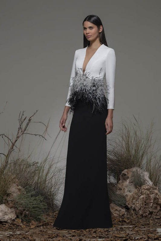 Bianchi ? Sleeve Feathered Gown