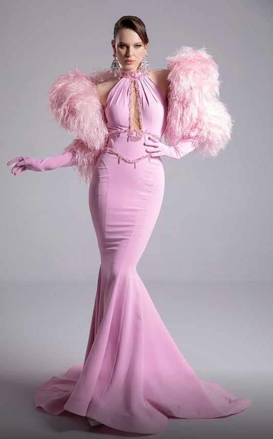 Halter Neckline Gown