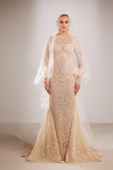 Long Sleeve Sheer Veil Gown