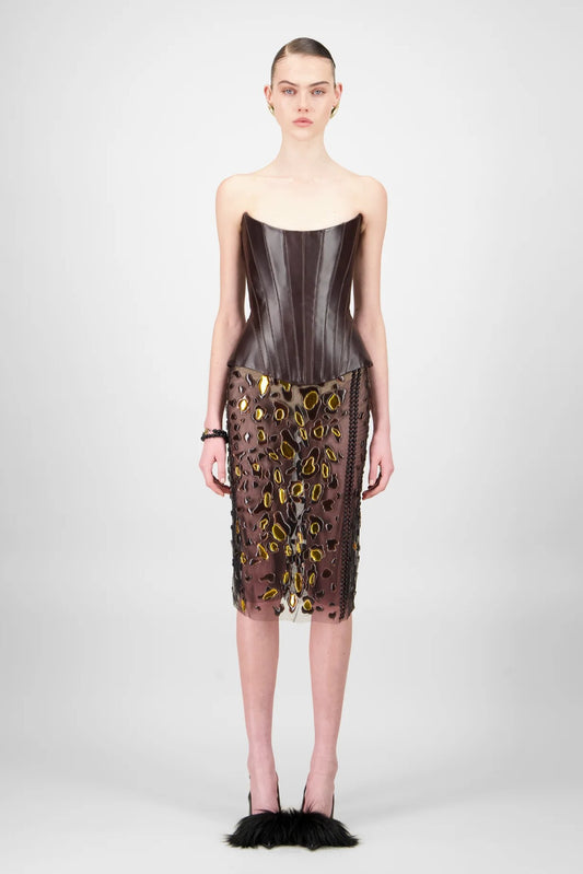 Leather Corset & Tulle Skirt