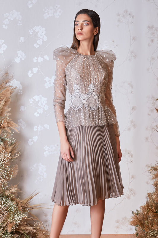 ? Sleeve Top and Pleated Skirt