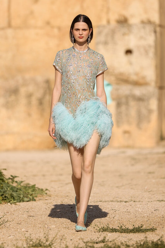 Short Sleeve Feather Dress