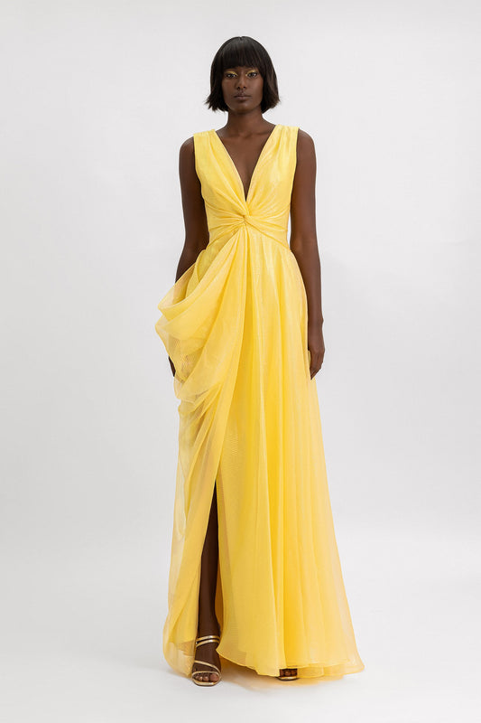 V-Neckline Draped Gown