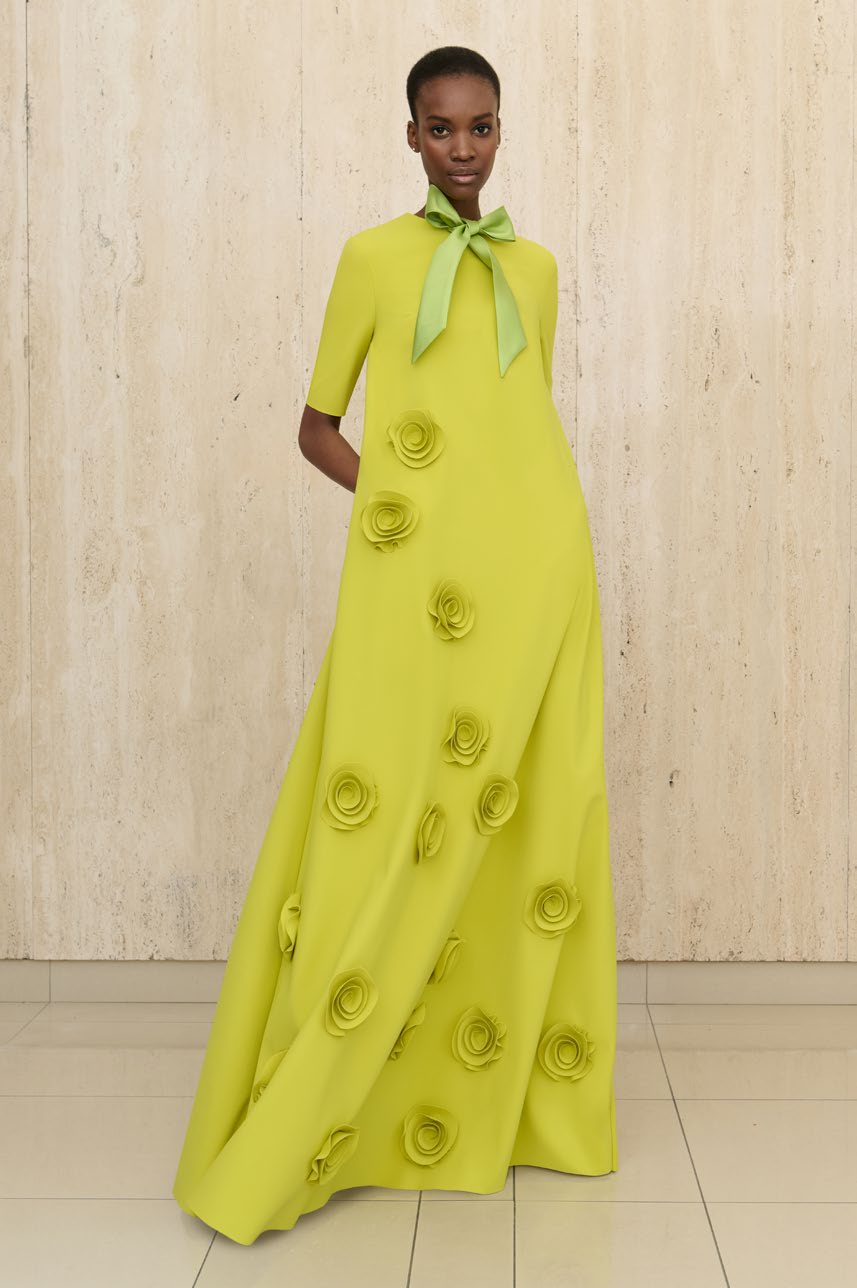 Rembrandt Rose Gown