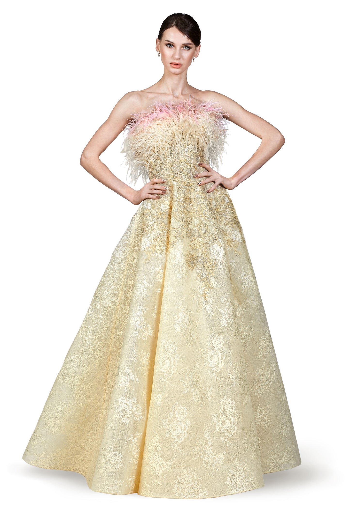 Feathered A-Line Gown