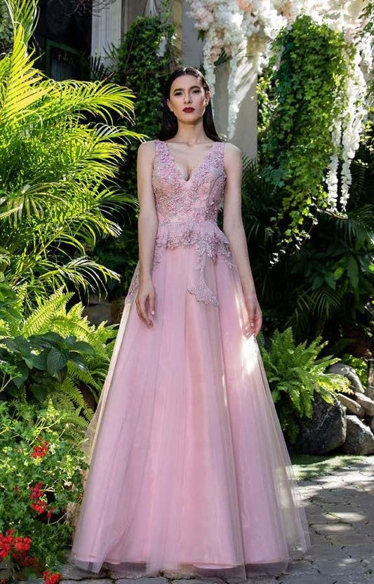 Embroidered Tulle Sleeveless Gown