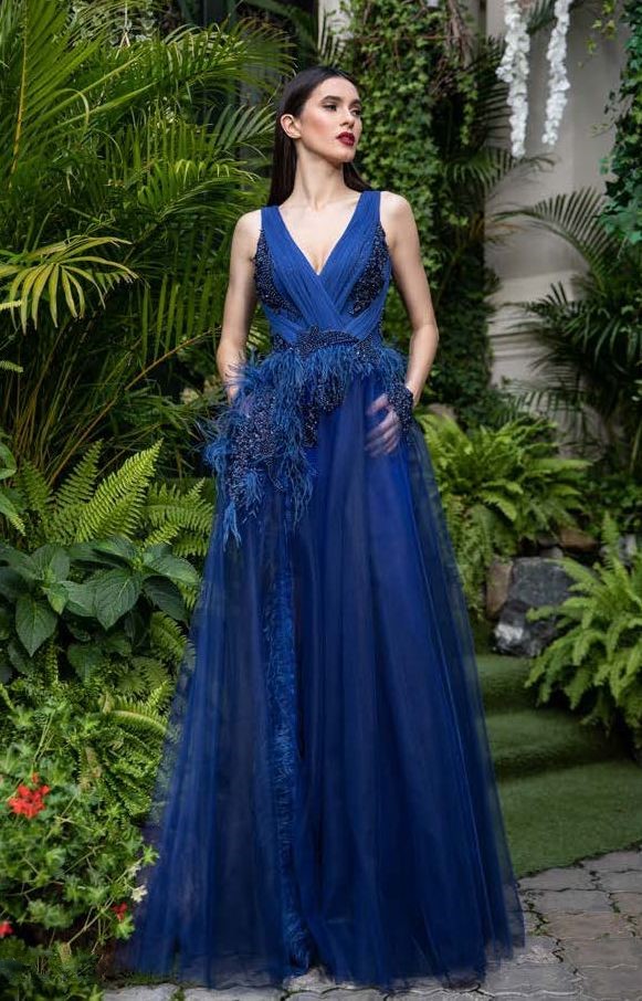 Embroidered Feathered Sleeveless Gown