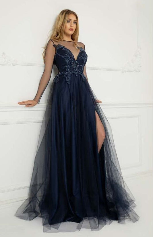 Long Sheer Sleeve Embroidered Tulle Gown