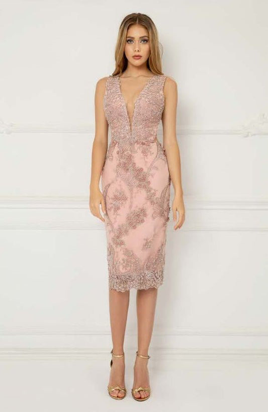 Sleeveless Embroidered Tulle Dress