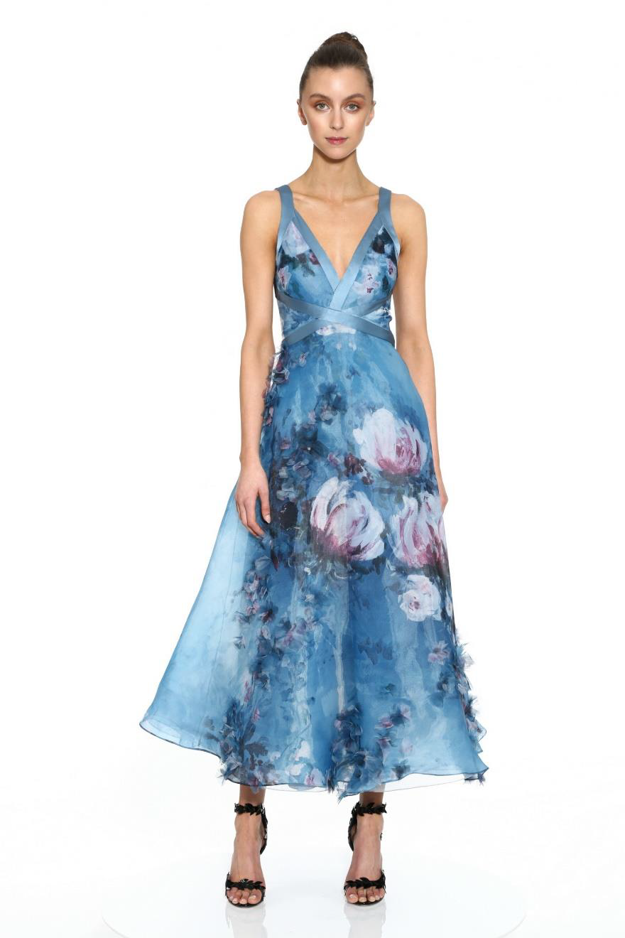Sleeveless Printed Organza Tea Dress