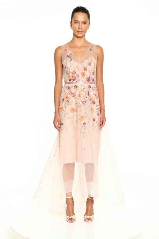 Sleeveless V-Neck Embroidered Hi-Lo  Gown