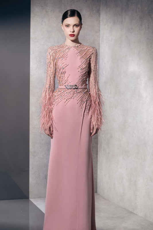 Embellished Feathered Long Sleeve Gown