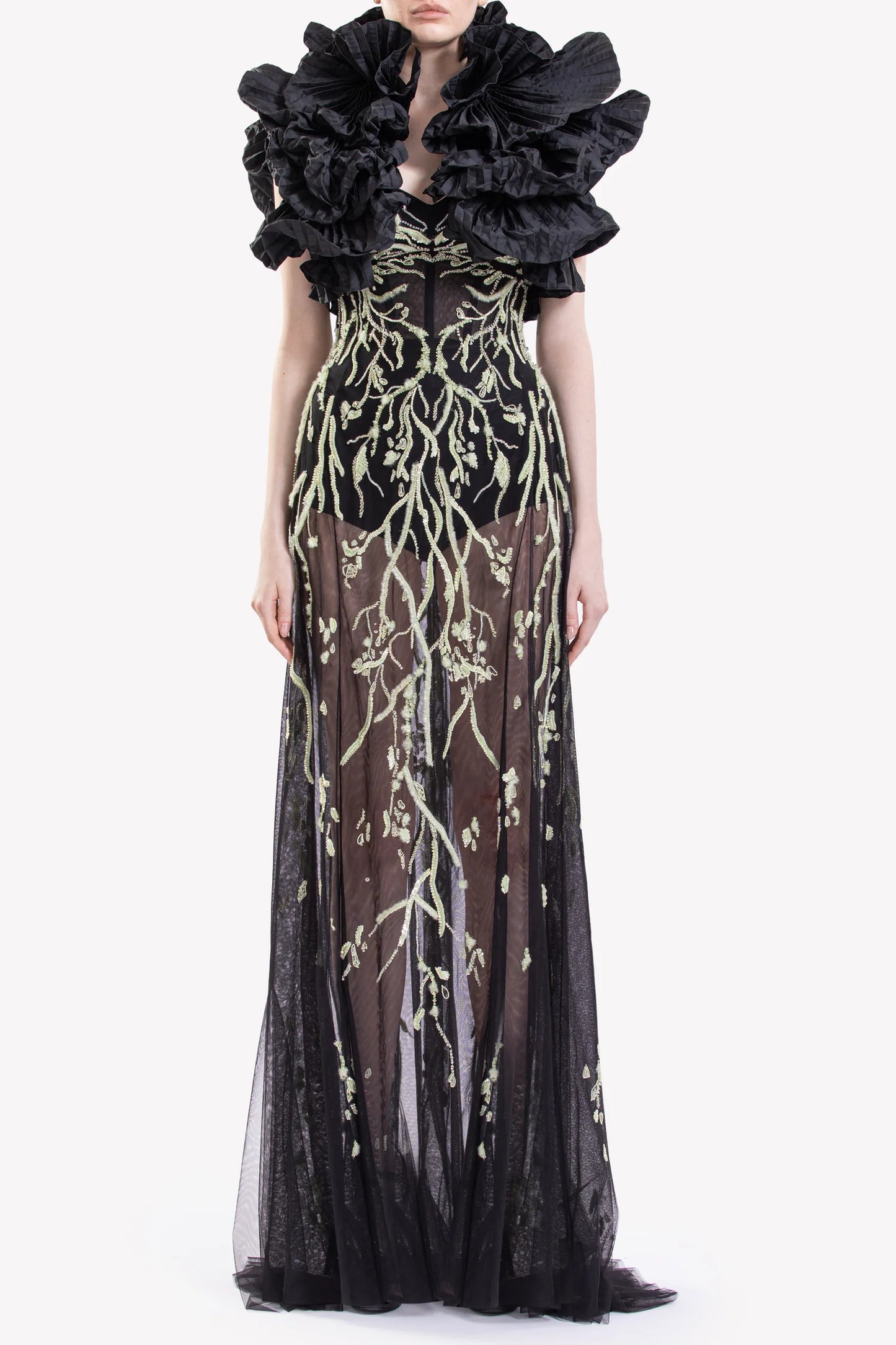 Embroidered Sheer Dress