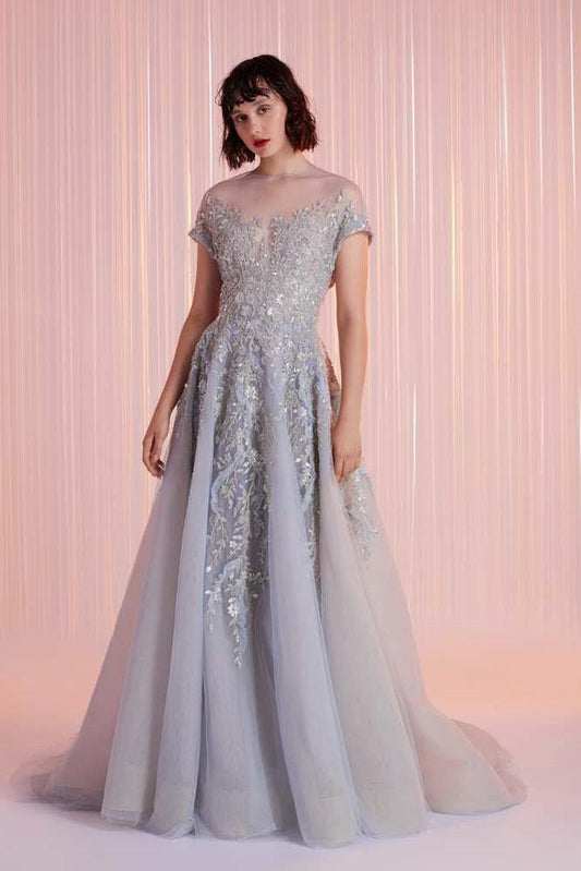 Short Sleeve Illusion Neck Gown