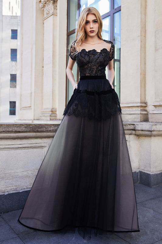 Embroidered Velvet Short Sleeve Gown