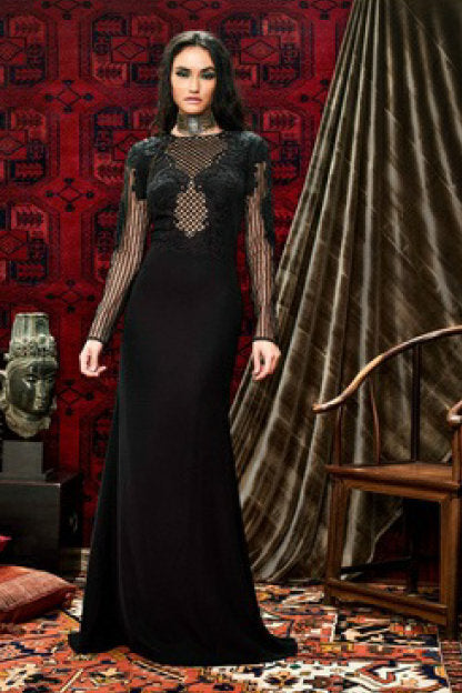 Sheer Long Sleeve  Gown