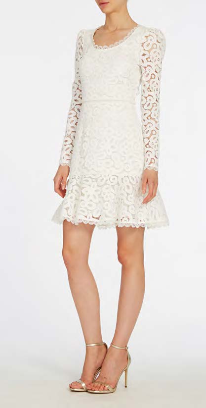 Long Sleeve Lace Mini  Dress