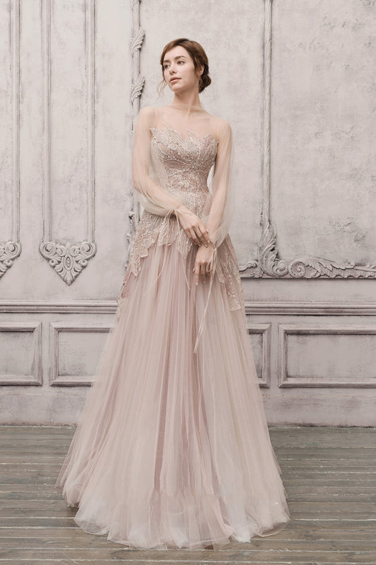 Sheer Illusion Embellished Gown