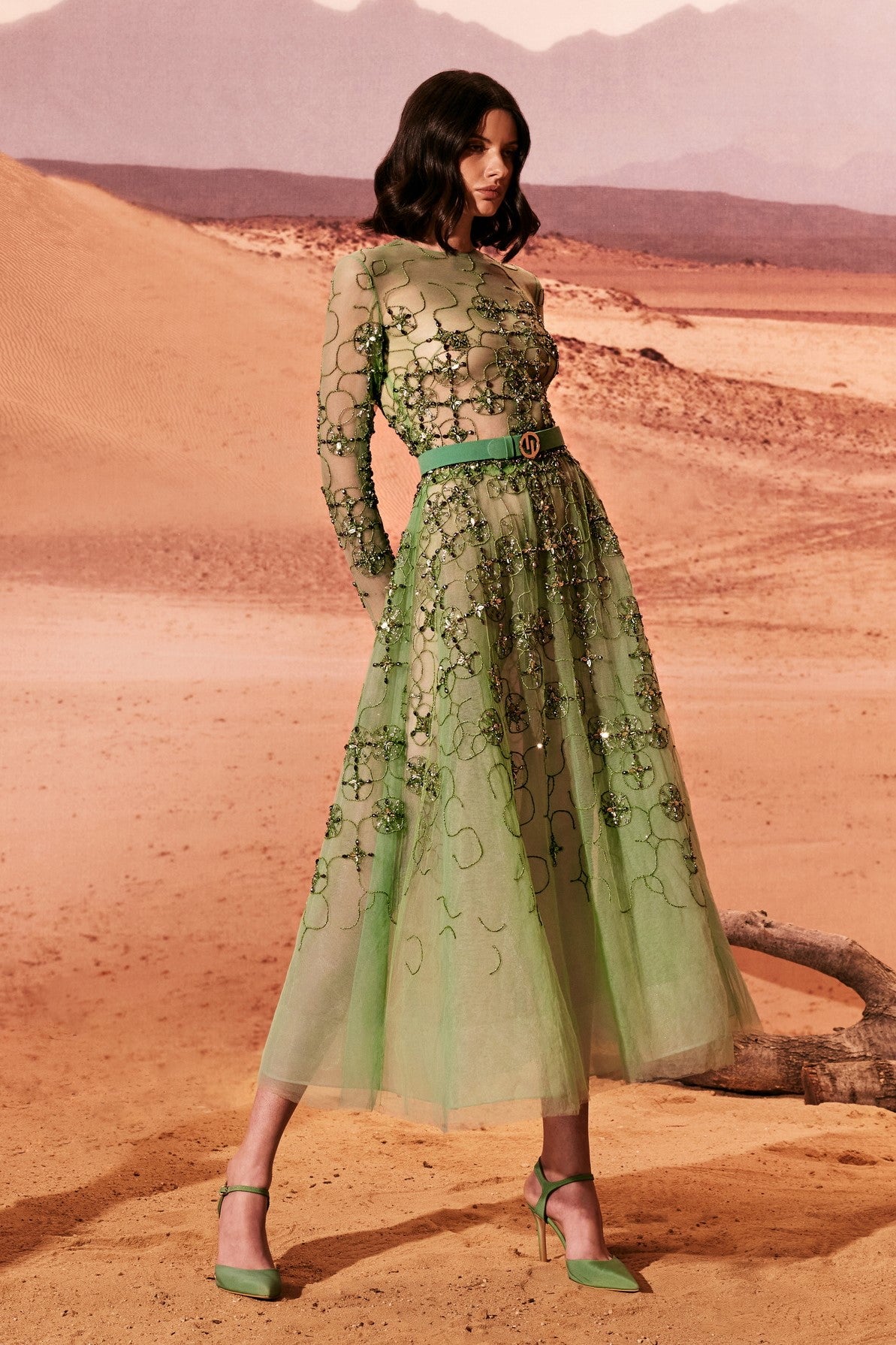 Tulle Sleeved Midi Dress