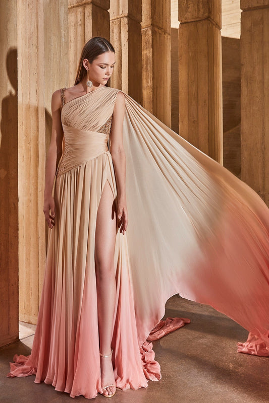 Ombre Asymmetrical Gown
