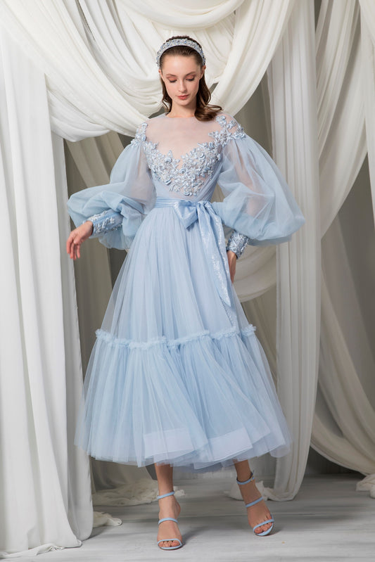 Long Sleeve Edwardian Tulle Dress