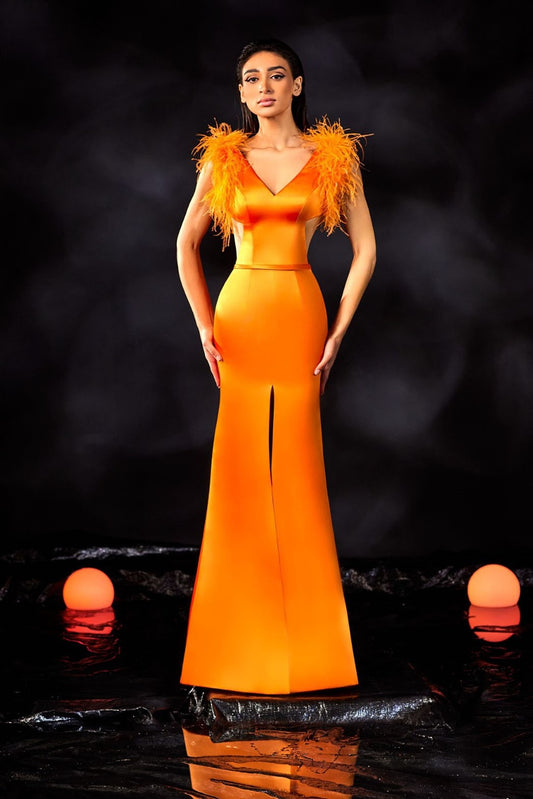 Satin Gown with Feathered Sleeves