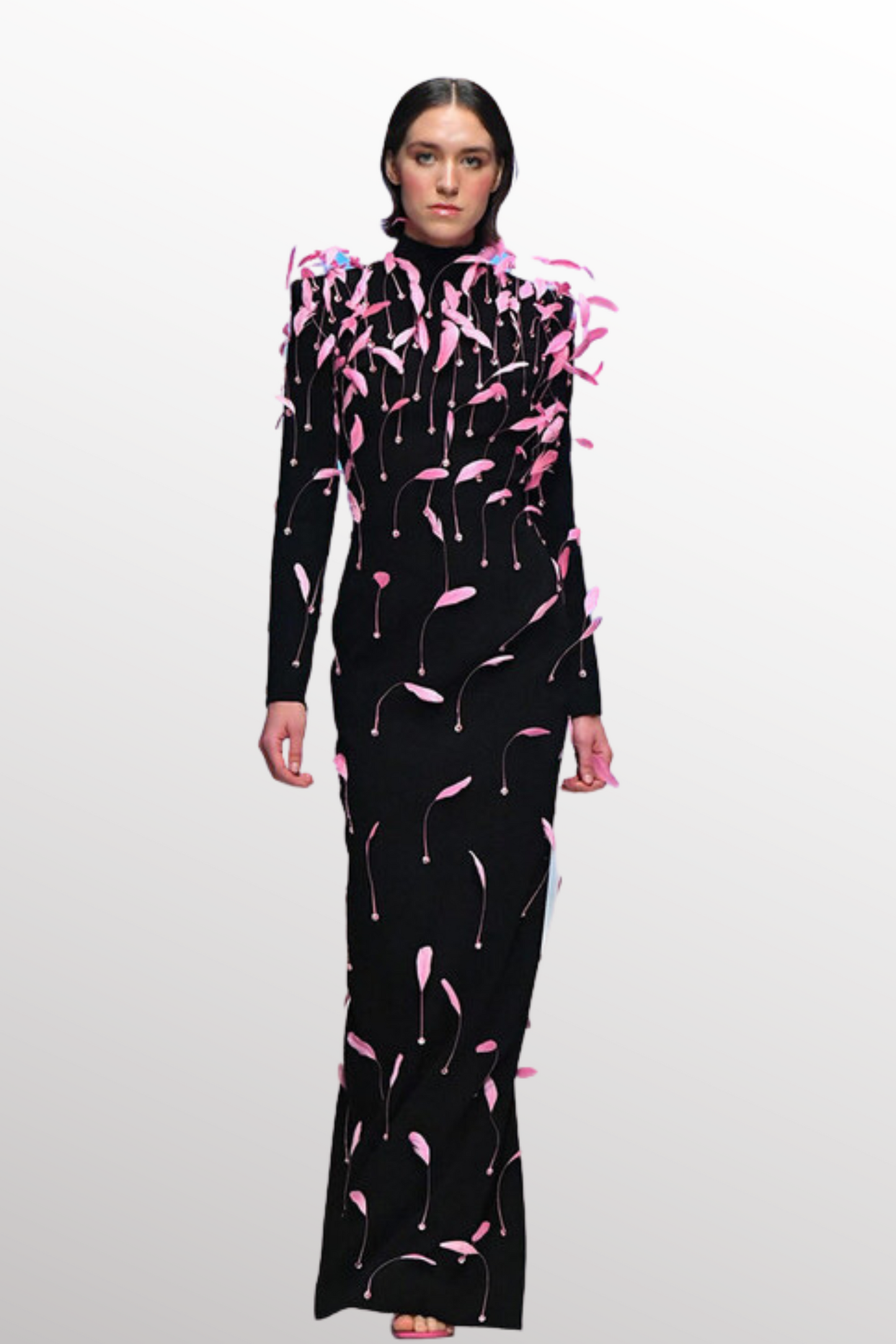 Embroidered Feathered Gown