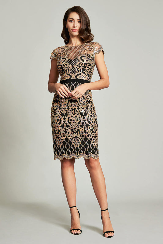 Miranda Sequin Embroidered Cap Sleeve Dress