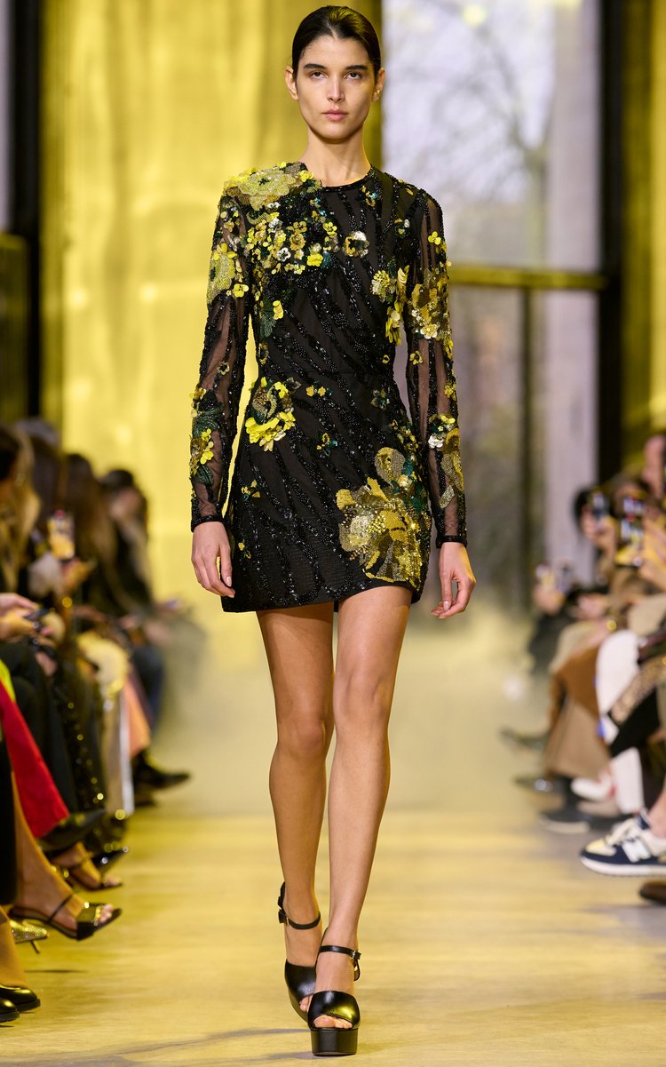 Embroidered Tulle Dress