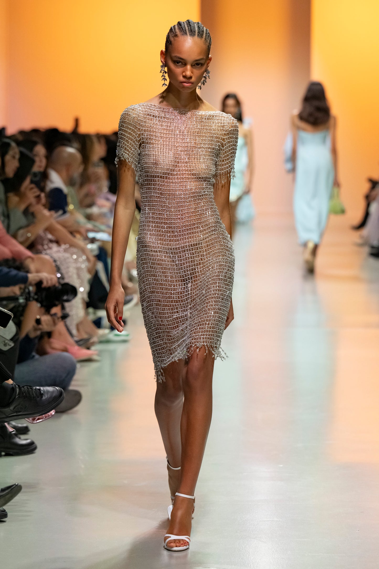 Sheer Mesh Dress