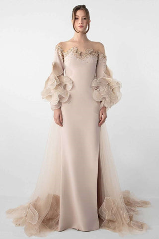 Organza Sleeve Illusion Gown