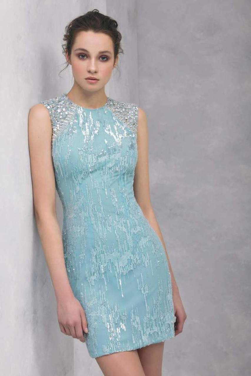 Sleeveless Embroidered Tulle Cocktail Dress